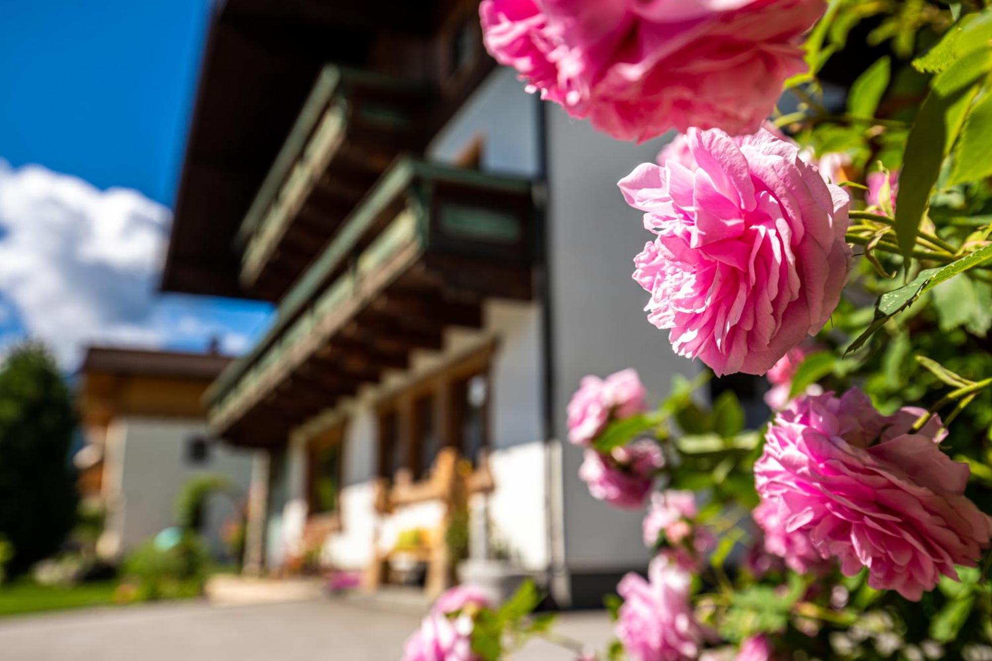 Holiday Im Gaestehaus Warter In Altenmarkt Альтенмаркт  Экстерьер фото